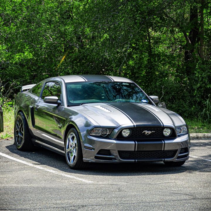 Profile Picture of Daniel Honig (@mt825.0) on Tiktok