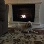 Profile Picture of Randy Wooley (@rjw.ht0607) on Instagram