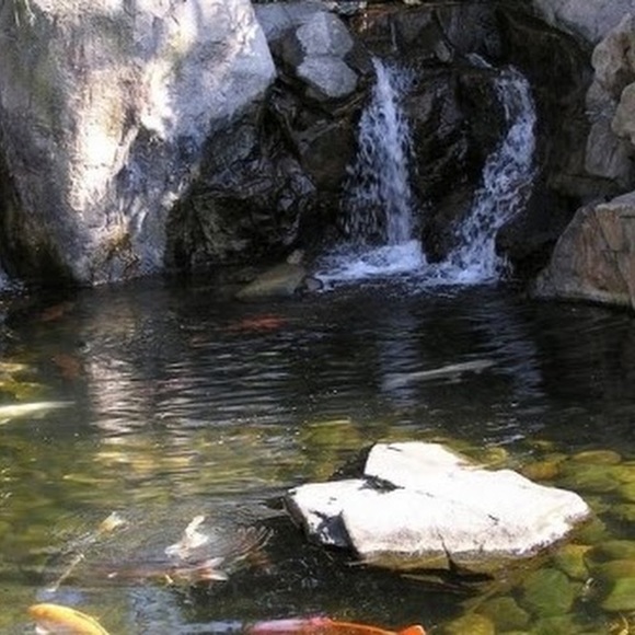 Profile Picture of Sonny Dimalanta (@sdimalanta33) on Poshmark