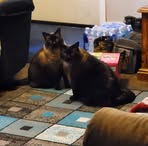 Profile Picture of Jeanette Malowski (@Jeanette-Malowski) on Facebook