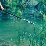 Profile Picture of mohammad._.jawad (@mohammad._.jawad.d) on Instagram