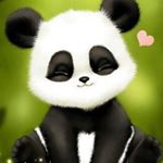 Kate Cantrell - Instagram Profile Picture of Kate Cantrell (@panda_queen115) on Instagram