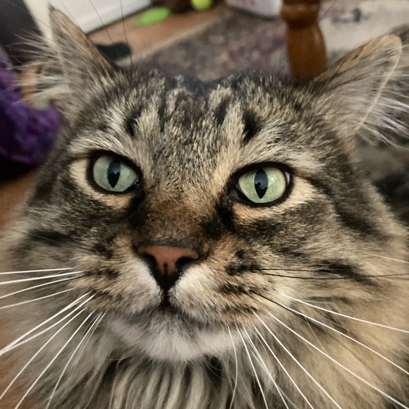 Profile Picture of Steve Rhodes (@steverhodes147) on Poshmark