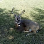 Profile Picture of Gage Benson (@gagebenson7) on Instagram