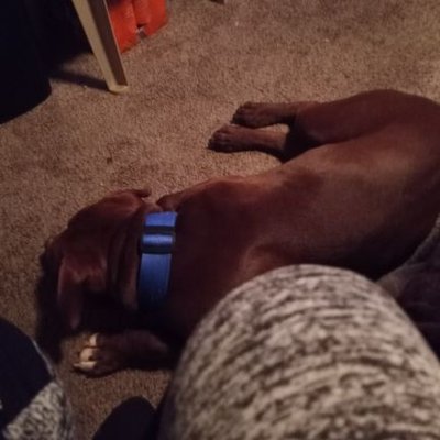 Profile Picture of Kevin Stubblefield (@KevinStubblef15) on Twitter