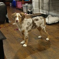 Profile Picture of Drew Downey (@drew-downey-3) on Quora