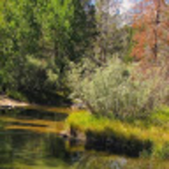 Profile Picture of Valerie Bonsor (@val7745) on Poshmark