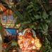 Profile Picture of Ydydhdhs Pathi (@sujatha.pathi.7) on Facebook