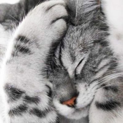 Profile Picture of Alice Hui (@AliceHui20) on Twitter