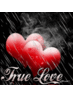 Profile Picture of Pradeep Chand (@pradeepchand10) on Twitter