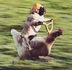 Profile Picture of Derek Cowell (@derek.cowell.7) on Facebook