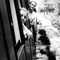 Profile Picture of Tom Tuohy (@tom.tuohy.942) on Facebook