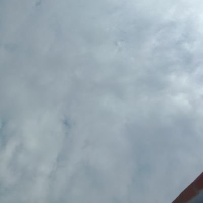 Profile Picture of Alexander Escalante Acevedo (@Alexand03096254) on Twitter