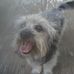 Profile Picture of Lori Bruce (@lori.bruce.710) on Facebook