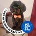 Profile Picture of Miguel Couvertier (@miguel.couvertier.505) on Facebook