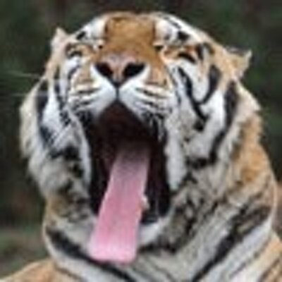 Profile Picture of Tyree (@l4ar8k21xb) on Twitter