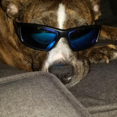 Profile Picture of Jeremy Wickham (@JeremyWickham3) on Twitter