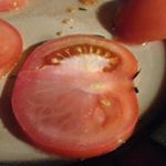 Profile Picture of Sean (@sean_hillis666) on Instagram