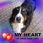 Profile Picture of Joeri Arnouts Arnouts (@joeriarnouts) on Instagram