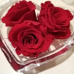 Profile Picture of Cristina Mauro (@cristina.mauro.7739) on Facebook