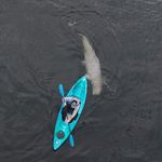 Profile Picture of Tyler Pike (@tylerpike1) on Instagram