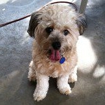 Profile Picture of GeraldoGaney (@geraldoganey_2ocj) on Instagram