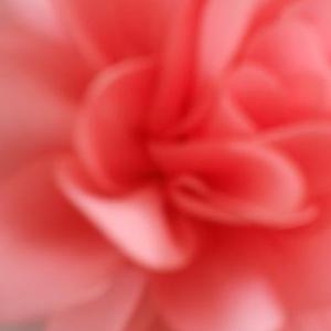 Profile Picture of Sara Menghisteab (@SaraMenghisteab) on Twitter