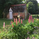 Profile Picture of Julia Timbrell (@stocks_cottage_flowers) on Instagram