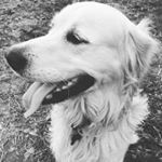 Profile Picture of Jim Gilman (@jim.gilman.77) on Instagram