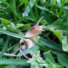 Profile Picture of Gavin Ferris (@GavinFerris3) on Twitter