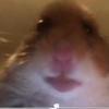 Profile Picture of Dominick Triana (@@dominicktriana) on Tiktok