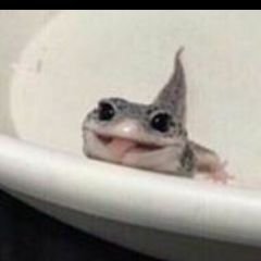 Kaila Ryan - Twitter Profile Picture of Kaila Ryan (@potatoismebecuz) on Twitter