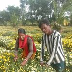 Profile Picture of Robin Bagdi (@Robin-Bagdi) on Facebook