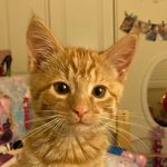 Profile Picture of Krystal Huffman (@lily_10_9_2021) on Instagram