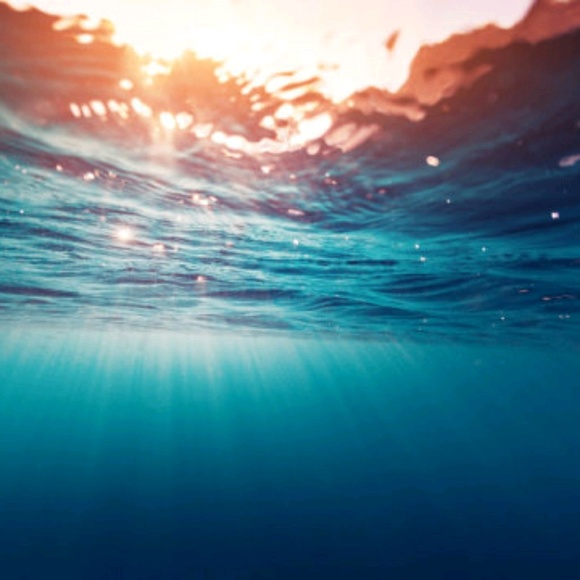 Profile Picture of Robin Barnes (@honeeysuckle) on Poshmark