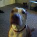 Profile Picture of Adam Clough (@dthugh) on Pinterest