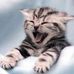 Profile Picture of Dawn Schroeter (@dawn.dale.583) on Facebook