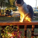 Profile Picture of Heather Sonsteng (@heather.sonsteng) on Facebook