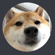 Profile Picture of Shawn Luna (@ShawnLu69089711) on Twitter