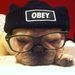 Profile Picture of noelia fonsi (@noeliafonsi) on Pinterest