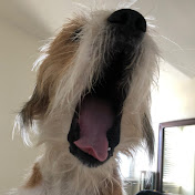 Profile Picture of Bradley Roberson (@bradleyroberson2476) on Youtube