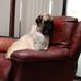 Profile Picture of Ralph Beringer (@ralph.beringer.3) on Facebook