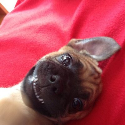 Profile Picture of Russell Gammon (@russellgammon87) on Twitter