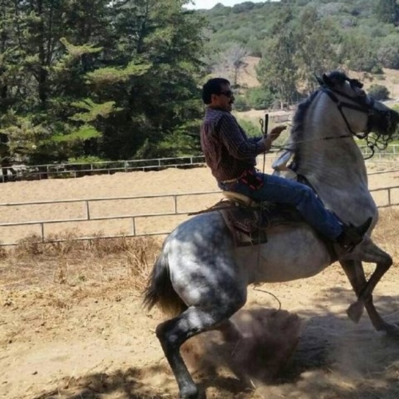 Profile Picture of Jose Manzur (@josemanzur) on Poshmark