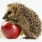 Profile Picture of Oliwia Pieczykolan (@oliwiapieczykolan) on Instagram