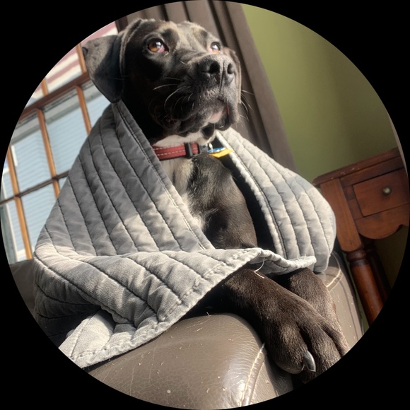Profile Picture of Charlotte Reading (@char_reading) on Poshmark