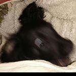 Sam Fryer - Instagram Profile Picture of Sam Fryer (@samfryer__) on Instagram