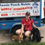 Profile Picture of Britney (@aussie_pooch_mobile_frankston) on Instagram