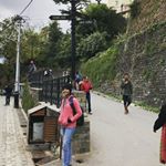 Profile Picture of Meera Keshav Mohan (@meera.keshav) on Instagram