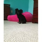 Profile Picture of Atchley Patrick (@upelleryan) on Instagram